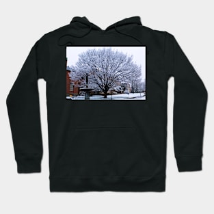 Snowy tree Hoodie